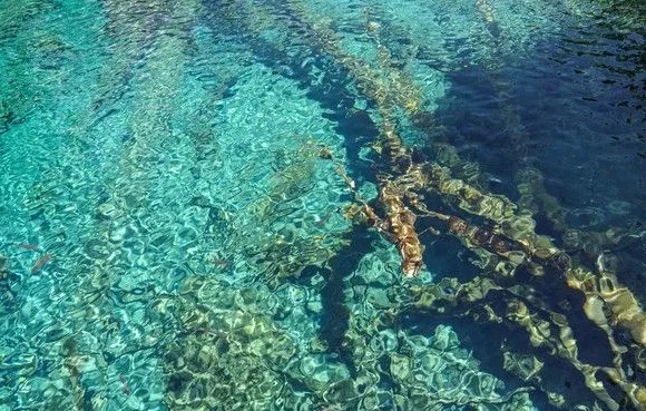 水质等级划分以及处理标准